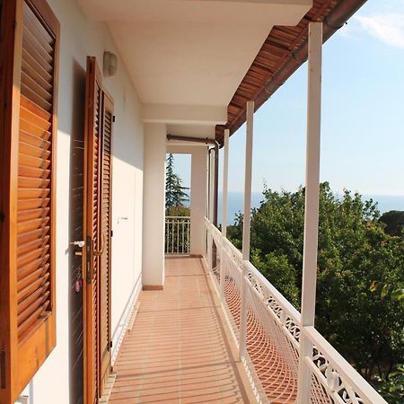 B&B Maratea Vacanze 외부 사진
