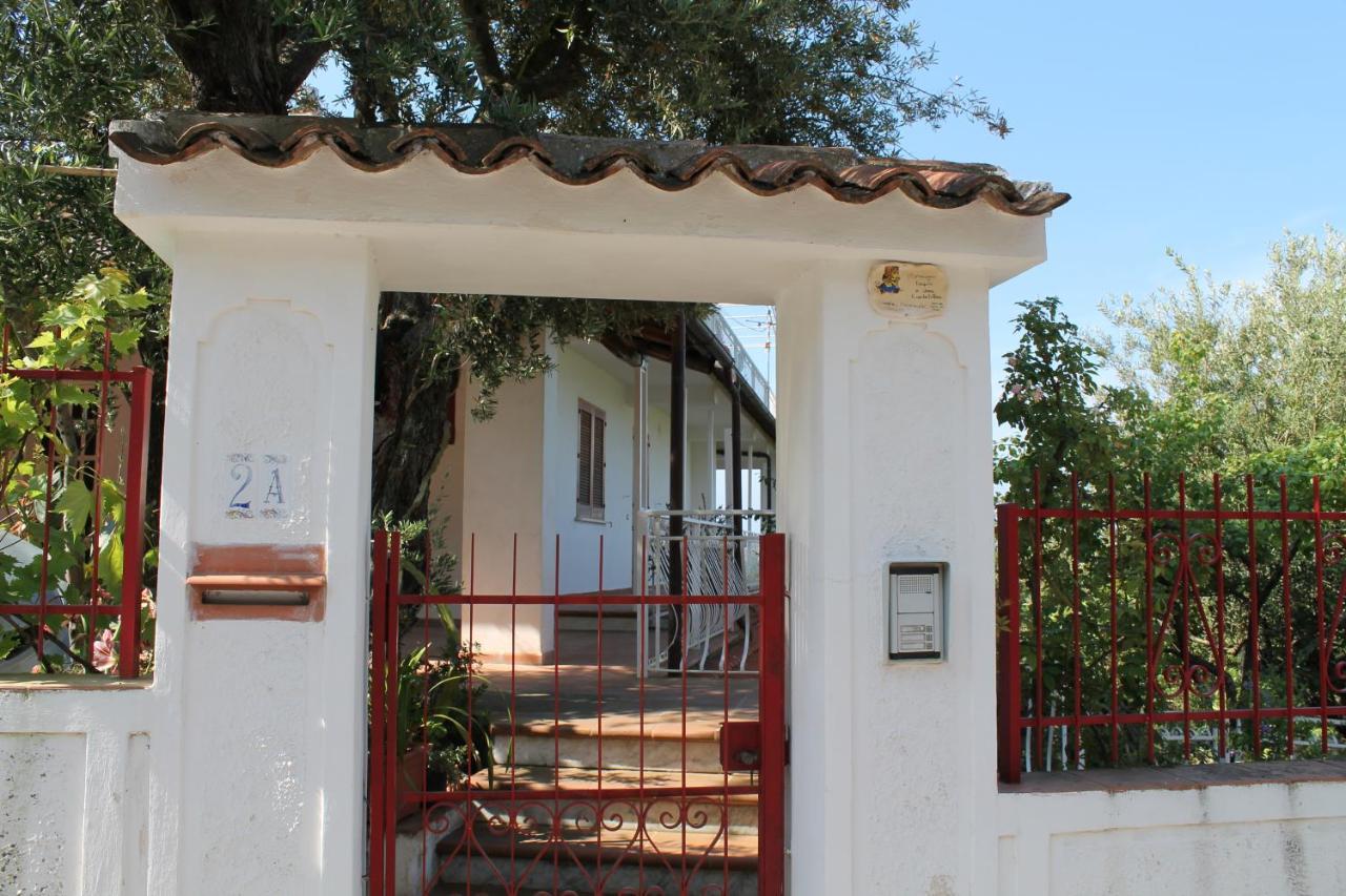 B&B Maratea Vacanze 외부 사진