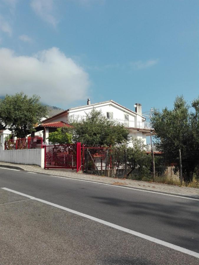 B&B Maratea Vacanze 외부 사진